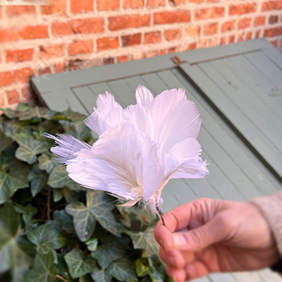 Vita fjäderblommor för dekoration av påskriset