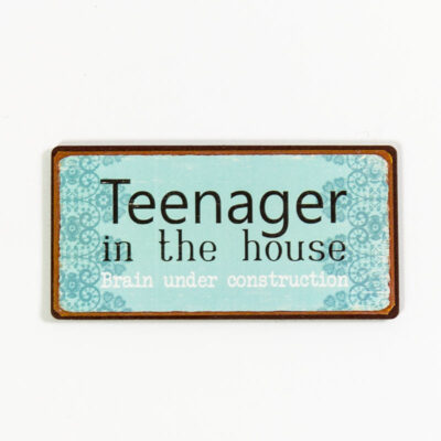 Magnet- Teenager in the house, brain under constructions