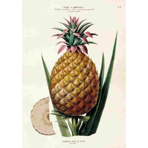 Poster med bild på ananas