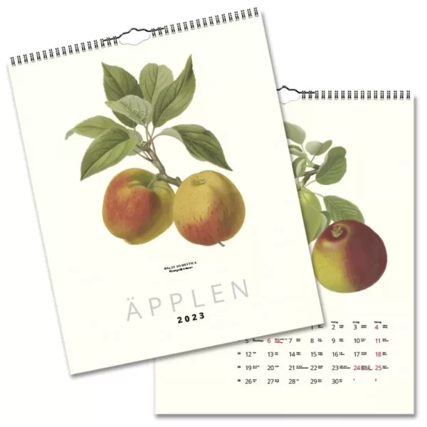 Väggkalender för 2023 med motiv av svenska äpplen.
