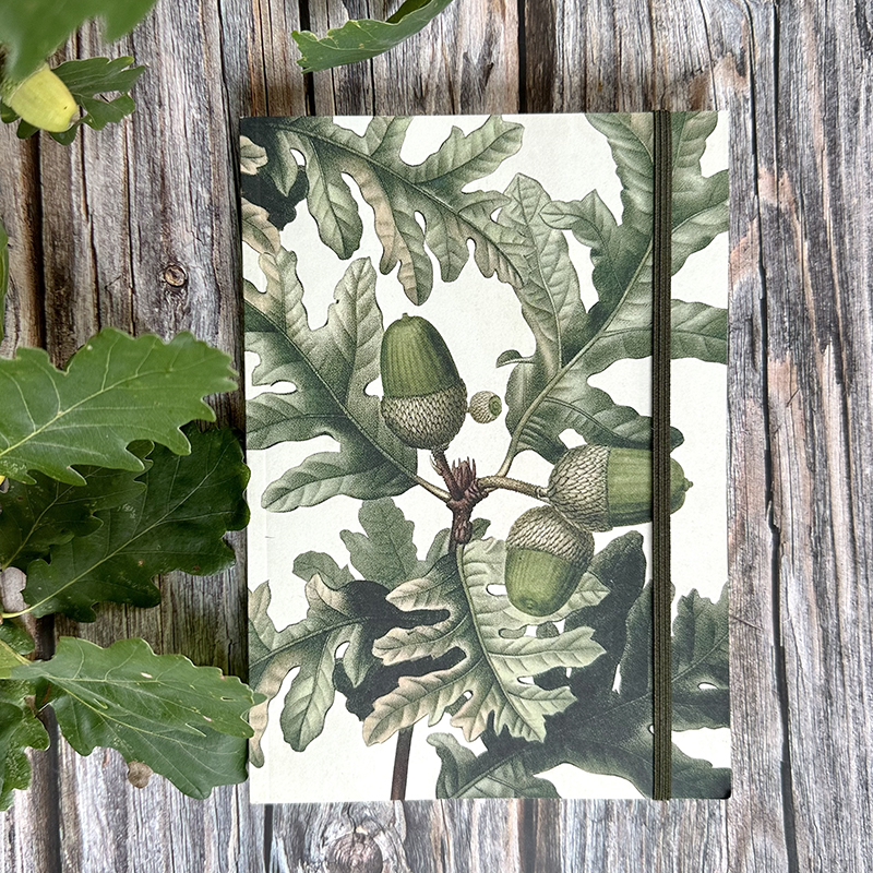 Anteckningsbok A5 - Ekollon