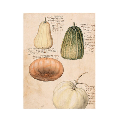 Poster - Pumpor Anno 1550, 18x24cm