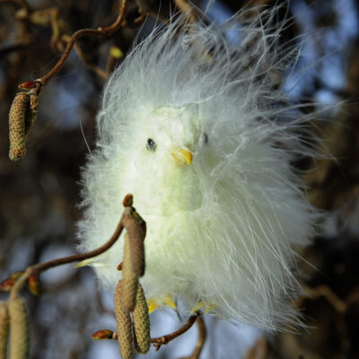 Söt liten fluffig ljusgul kyckling till påskpynt.