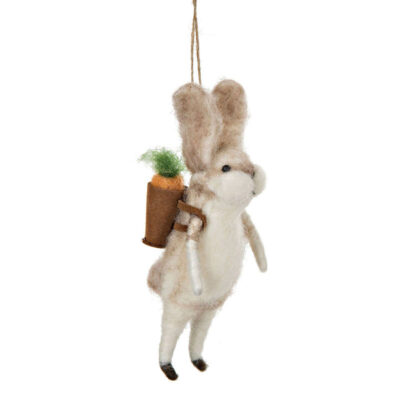 Söt liten kanin i ull med ryggsäck.