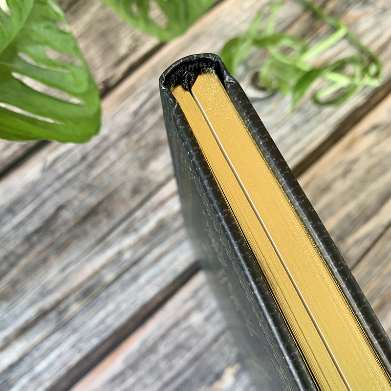 Anteckningsbok A5 - Obsidian Journal - Bild 5