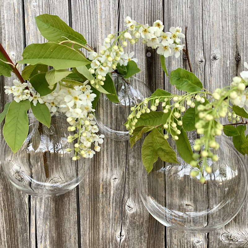 Runda väggvaser i glas med vita blommor i.