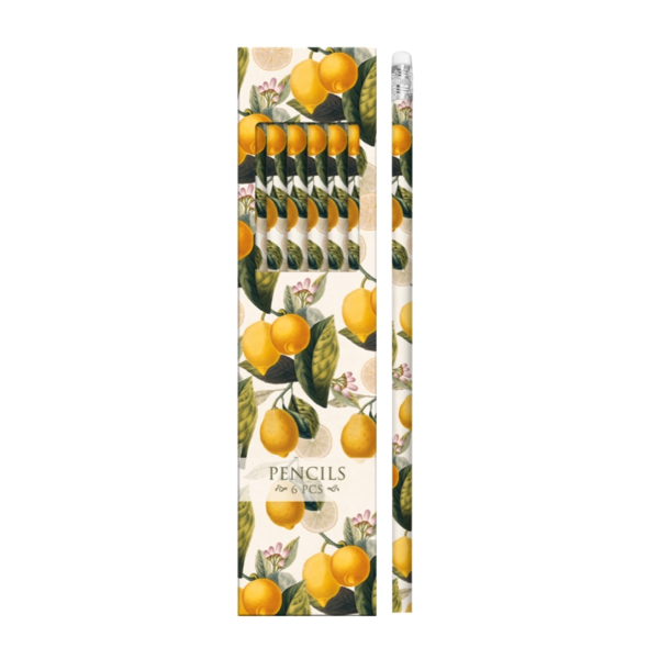 Blyertspennor i ask dekorerad med citrusfrukter.