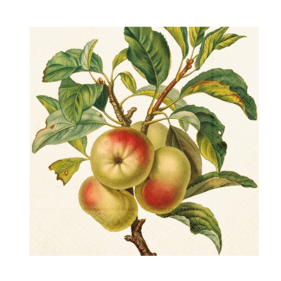 Servetter från Sköna Ting med motiv av Äpplen med blad på en gren.