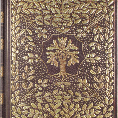187870961 Origpic 754168.jpg