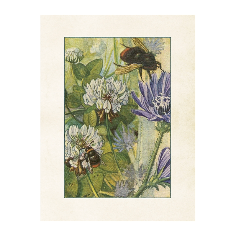 Vintageposter med motiv av en klöverblomma o humlor i dova pastellfärger.
