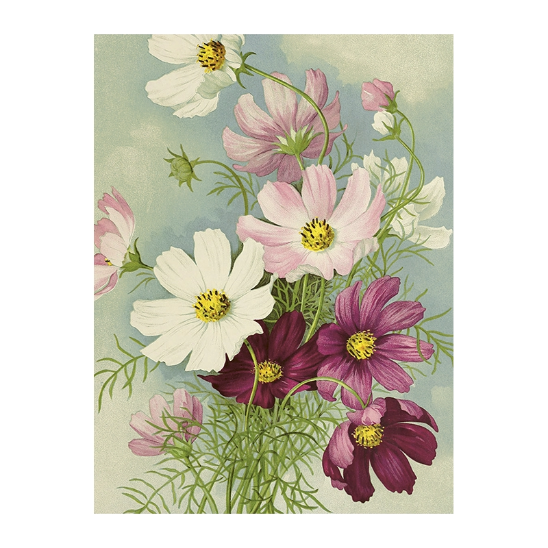 Vintageposter med ett fång med rosenskära i olika pastellfärger.