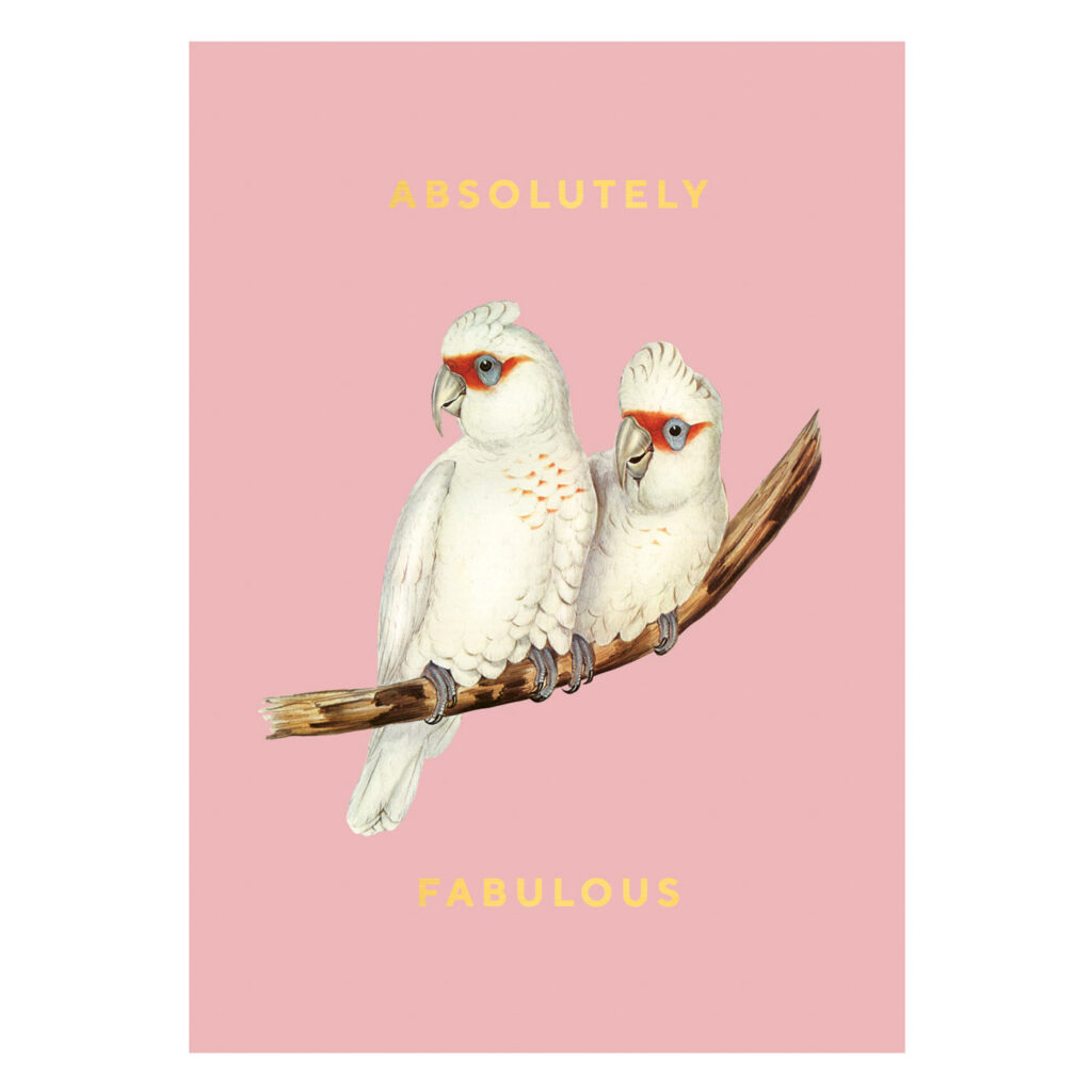 Timi Postcards 230609