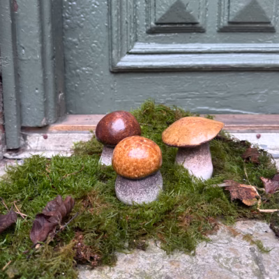 Keramiksvampar i mossa.
