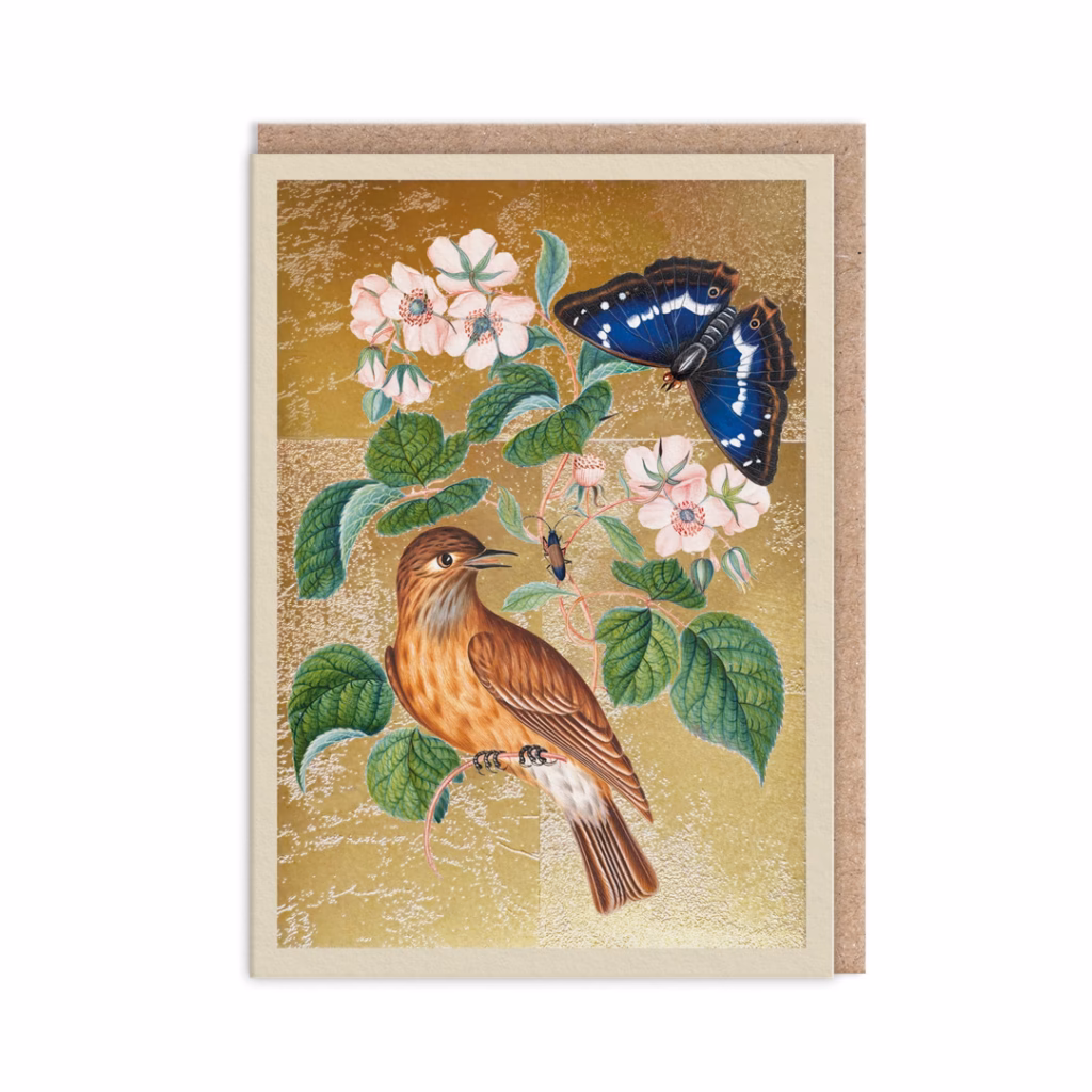 Grattiskort wren.