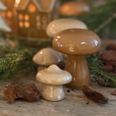 Svampar i nougat och beige-färgad keramik.