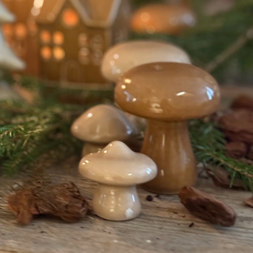 Svampar i nougat och beige-färgad keramik.